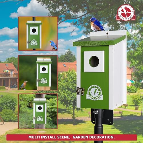 SISTERBIRD Cedar Bird House Outdoor in Lime Green