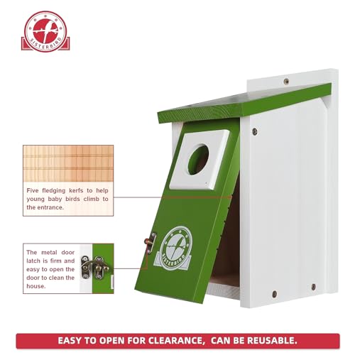 SISTERBIRD Cedar Bird House Outdoor in Lime Green