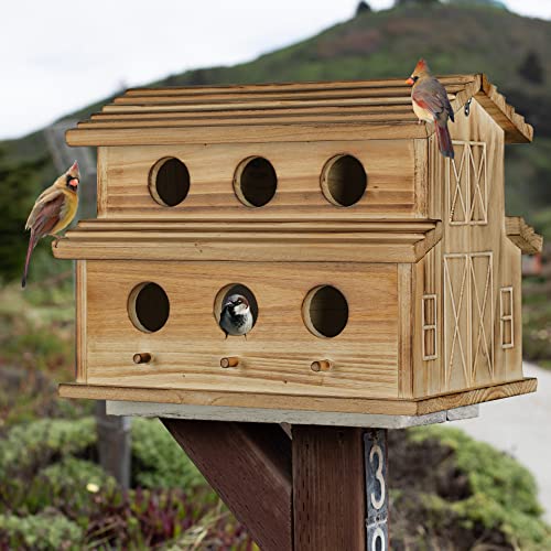 6-Hole Bluebird, Finch, Cardinals Bird House for Garden