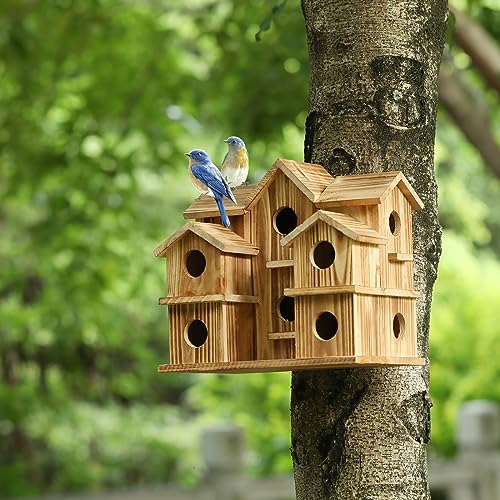 Handmade 10-Hole Bird House for Garden Décor