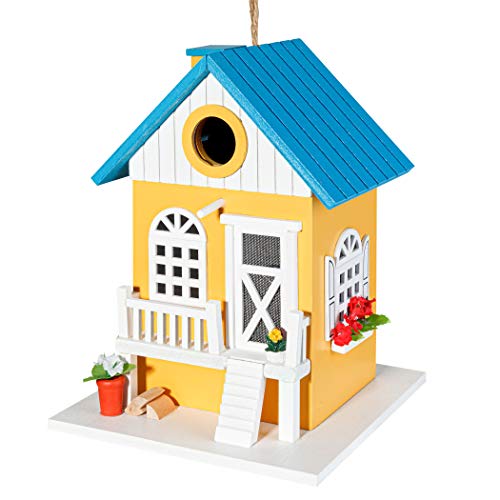 Colorful Hanging Bird Feeder for Garden Decor