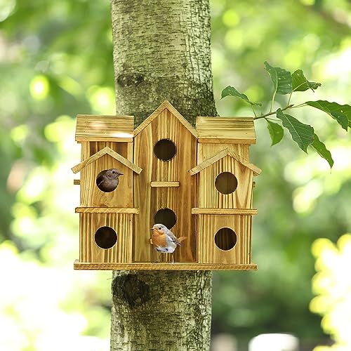 Handmade 10-Hole Bird House for Garden Décor