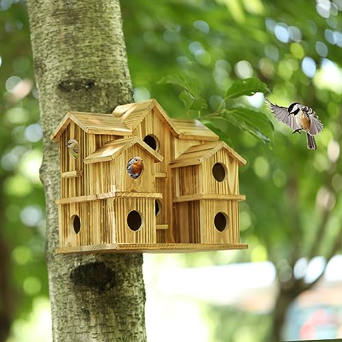 Handmade 10-Hole Bird House for Garden Décor