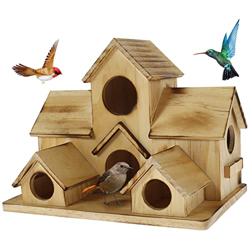6 Hole Bird House for Garden: Handcrafted Wood