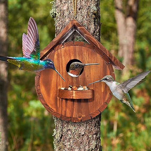 Bird Family Hanging Birdhouse for Indoor & Outdoor Decor