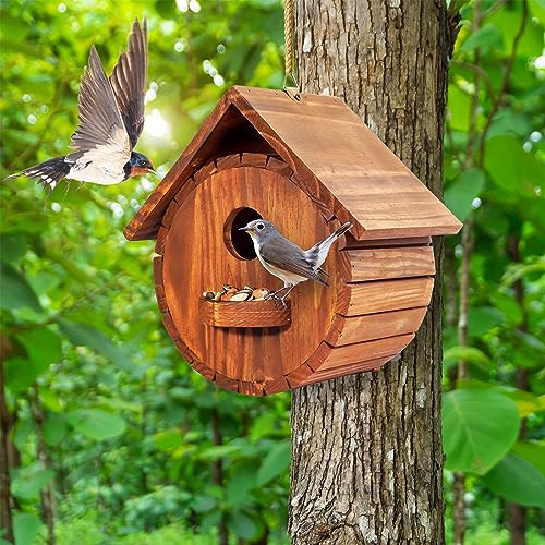 Bird Family Hanging Birdhouse for Indoor & Outdoor Decor
