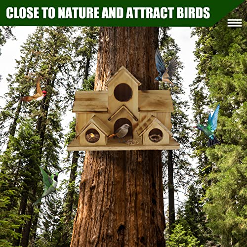 6 Hole Bird House for Garden: Handcrafted Wood