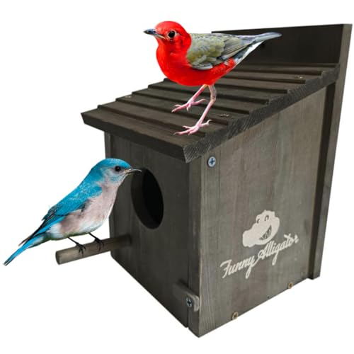 Wooden Bird Houses: Outdoor Nesting for Backyards & Gardens