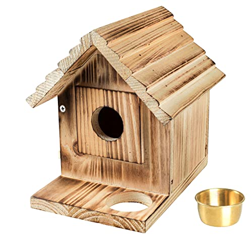 Bluebird House with Predator Guard for Charming Gardens
