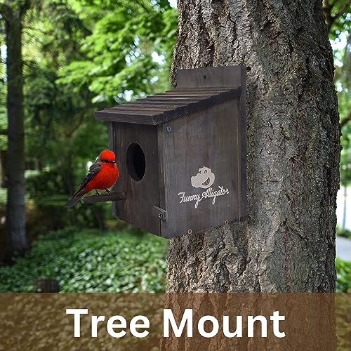 Wooden Bird Houses: Outdoor Nesting for Backyards & Gardens