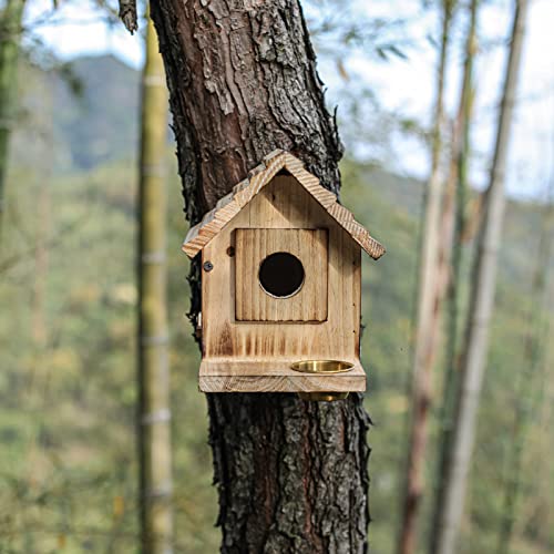 Bluebird House with Predator Guard for Charming Gardens