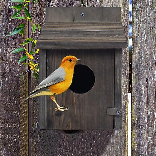 Wooden Bird Houses: Outdoor Nesting for Backyards & Gardens