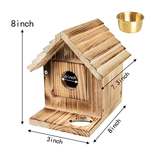 Bluebird House with Predator Guard for Charming Gardens