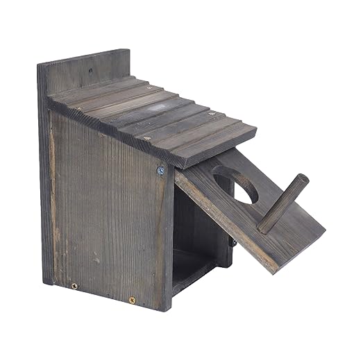 Wooden Bird Houses: Outdoor Nesting for Backyards & Gardens