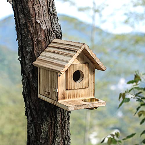 Bluebird House with Predator Guard for Charming Gardens