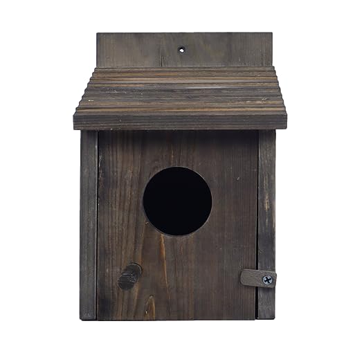 Wooden Bird Houses: Outdoor Nesting for Backyards & Gardens