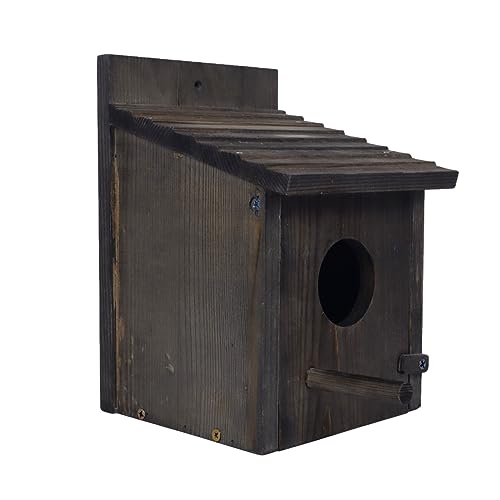Wooden Bird Houses: Outdoor Nesting for Backyards & Gardens