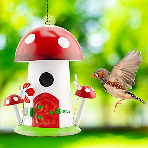 Colorful Mushroom Shaped Birdhouse for Songbirds