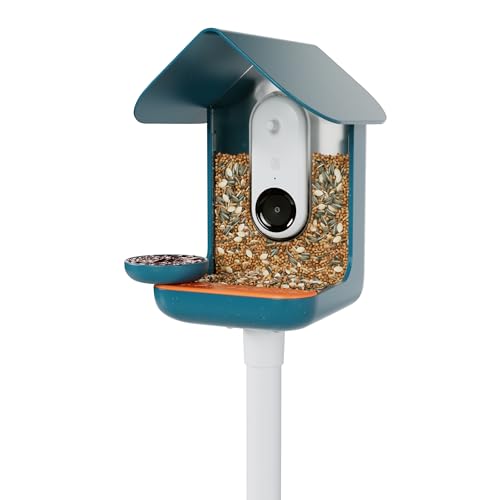 Blue BIRD BUDDY® 3-in-1 Outdoor Decoration Set