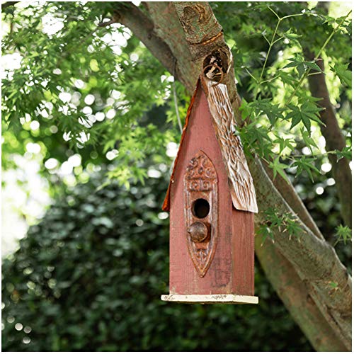 Hand-Painted Hanging Wood Bird House for Indoor & Outdoor
