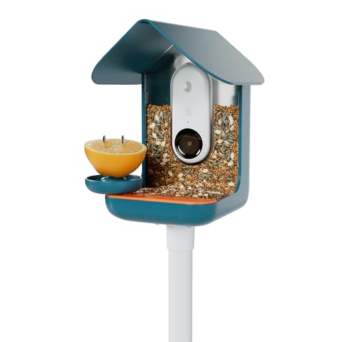 Blue BIRD BUDDY® 3-in-1 Outdoor Decoration Set