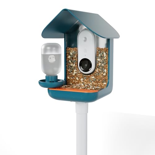 Blue BIRD BUDDY® 3-in-1 Outdoor Decoration Set