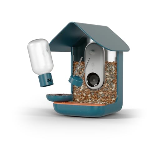 Blue BIRD BUDDY® 3-in-1 Outdoor Decoration Set