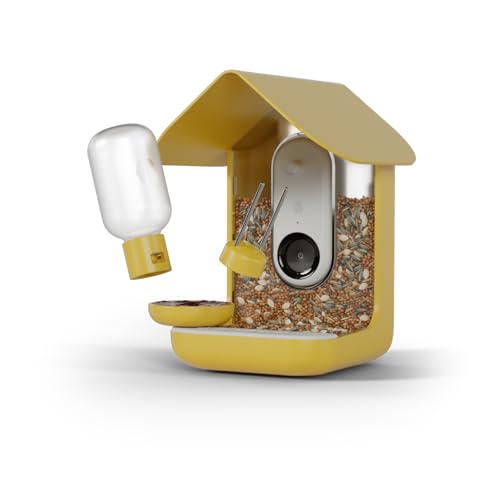 Blue BIRD BUDDY® 3-in-1 Outdoor Decoration Set