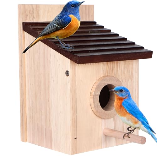 Natural Wooden Bird House with Predator Guard, Pole, & Hanging Option