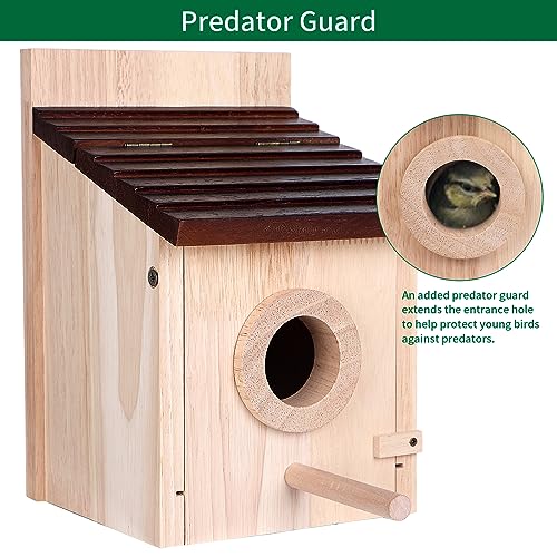 Natural Wooden Bird House with Predator Guard, Pole, & Hanging Option