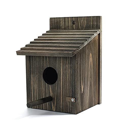 Wooden Bird House with Pole for Outside Decorating
