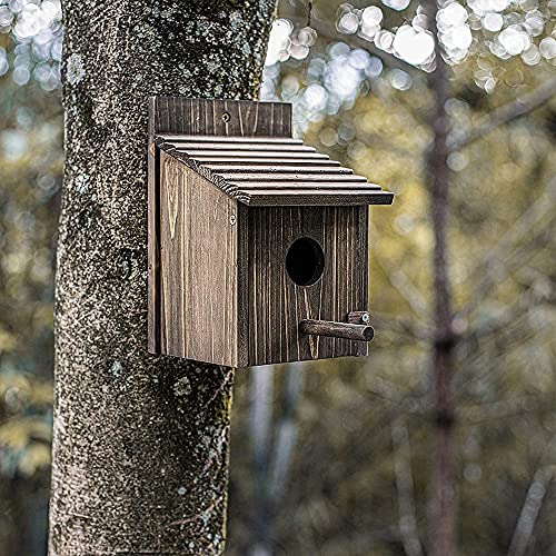 Wooden Bird House with Pole for Outdoor Decoration