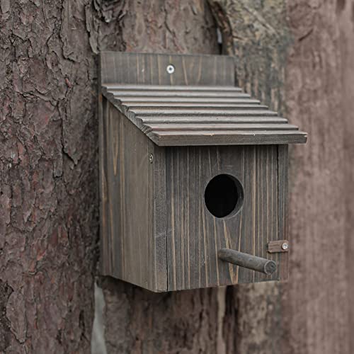Wooden Bird House with Pole for Outdoor Decoration