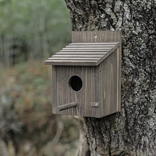 Wooden Bird House with Pole for Outdoor Decoration