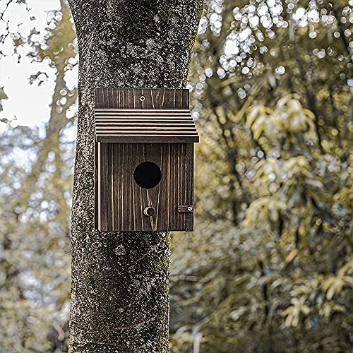 Wooden Bird House with Pole for Outdoor Decoration