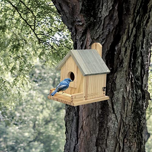 Renewal Wooden Birdhouse for Outside with Pole, Handcrafted