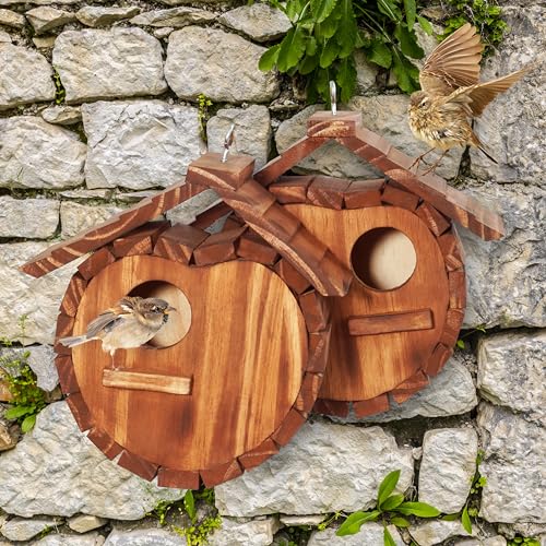 Cherry Shape Birdhouse for 2 Bird Families, Hanging Garden