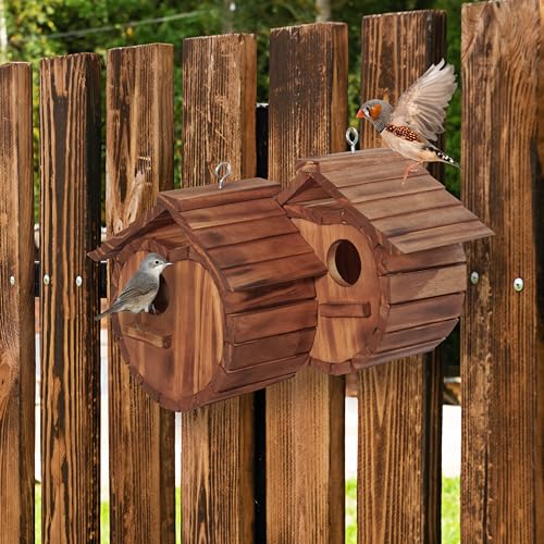 Cherry Shape Birdhouse for 2 Bird Families, Hanging Garden