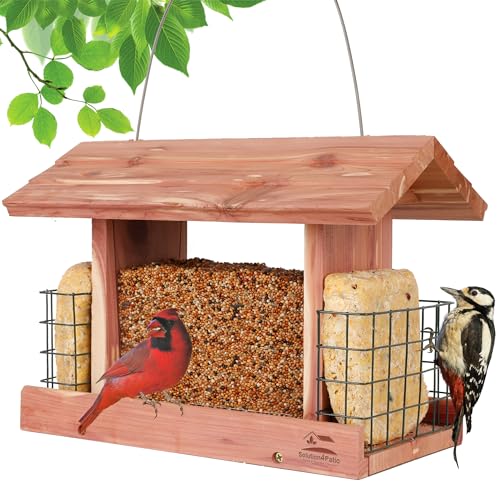 Handmade Cedar Bird Feeder with Double Suet Holder