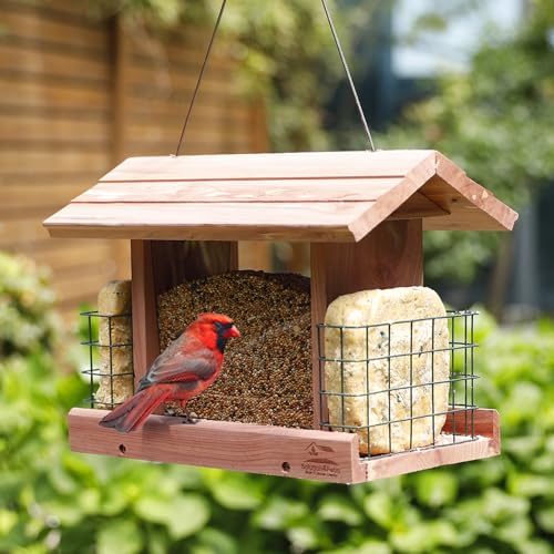 Handmade Cedar Bird Feeder with Double Suet Holder
