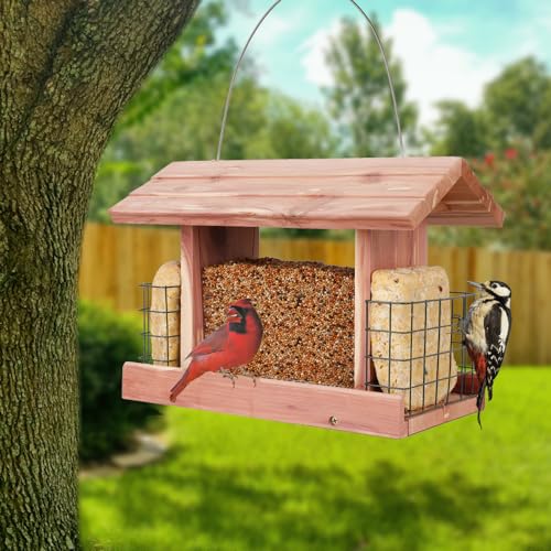 Handmade Cedar Bird Feeder with Double Suet Holder