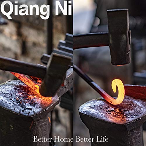 12-Inch Wall-Mounted Black Plant Hooks for Bird Feeders