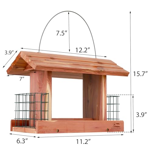 Handmade Cedar Bird Feeder with Double Suet Holder