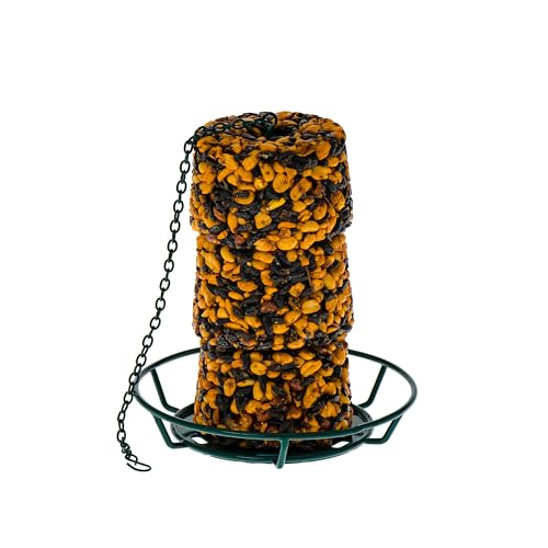 C&S Wild Bird Suet & Seed Cake Feeder