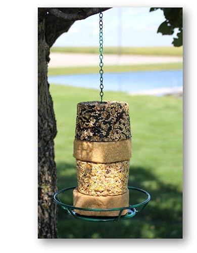 C&S Wild Bird Suet & Seed Cake Feeder