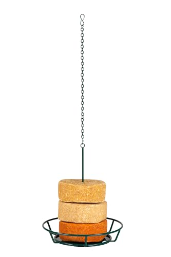 C&S Wild Bird Suet & Seed Cake Feeder