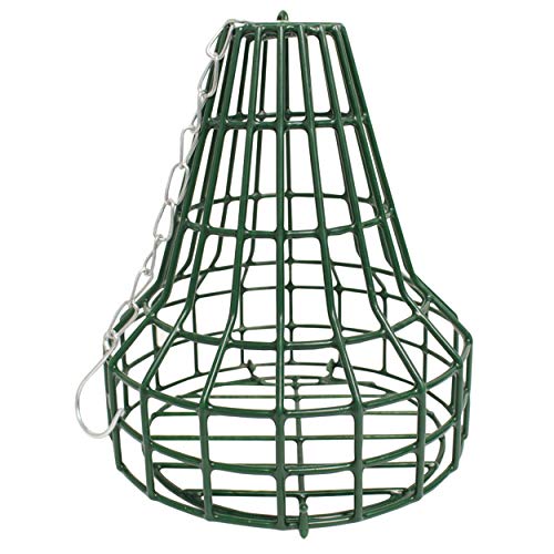 Green Seed Cake Bell Feeder for Indoor & Outdoor spaces