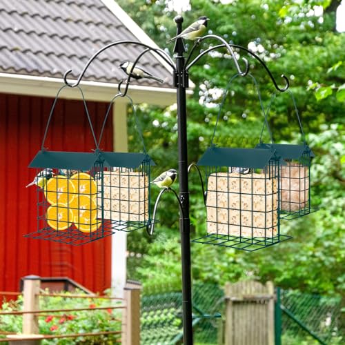 Outdoor Hanging Suet Feeder for Birds - Dark Green