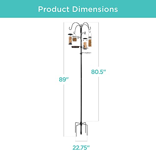 6-Hook Bird Feeding Station with Multi-Feeder Kit Stand