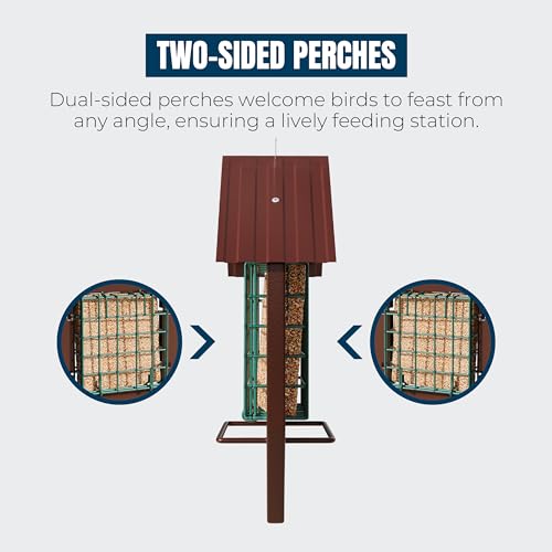 MEKKAPRO Bird Suet Feeder House with Double Cage